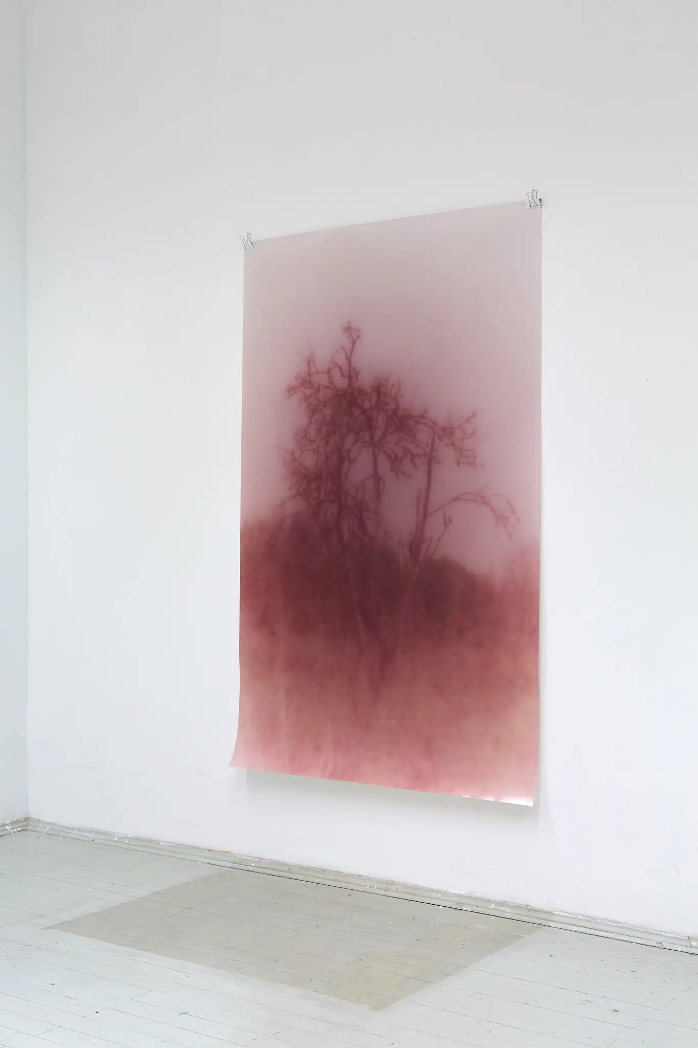 untitled series, image 1 of 1