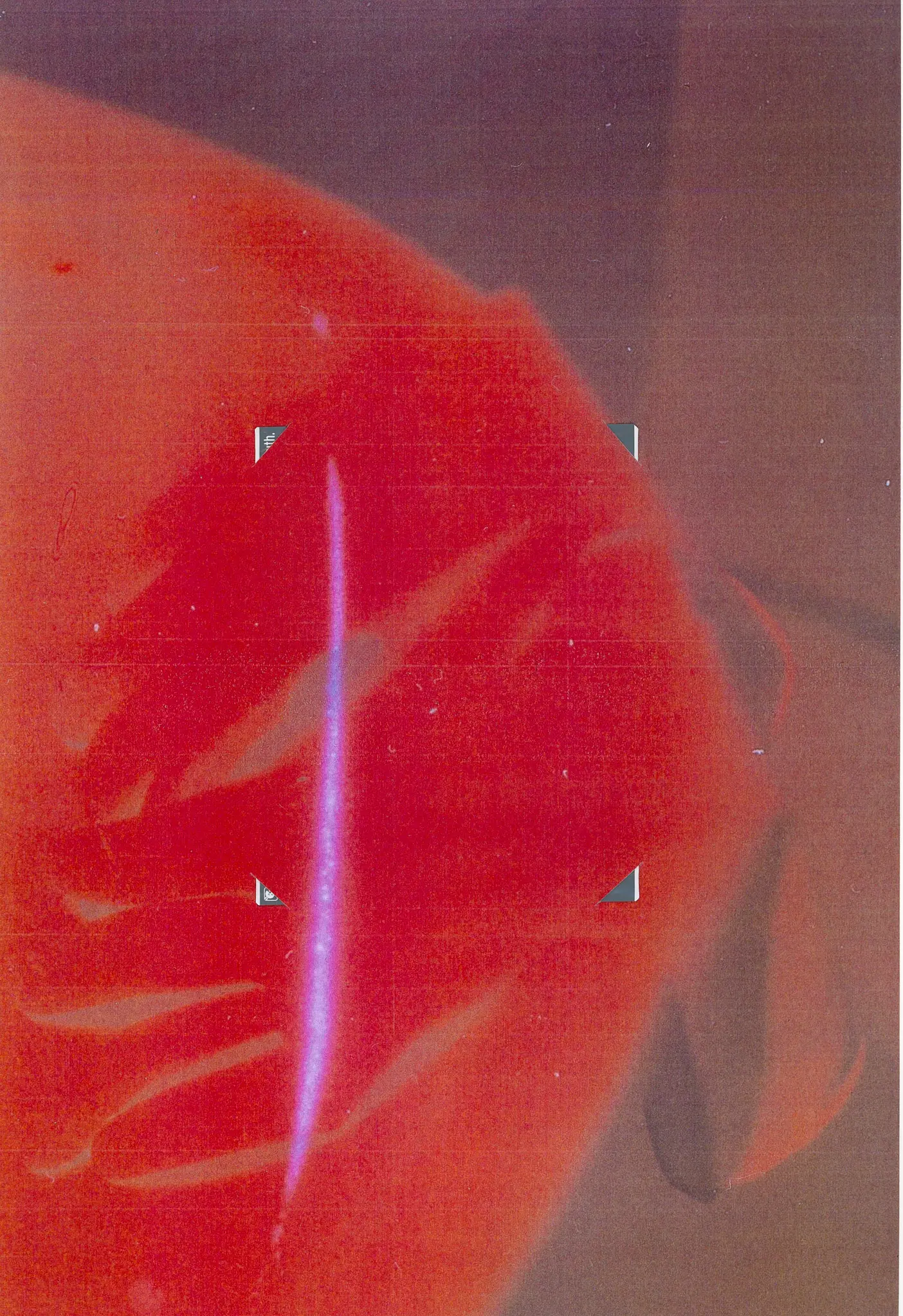 Colors, image 3 of 12