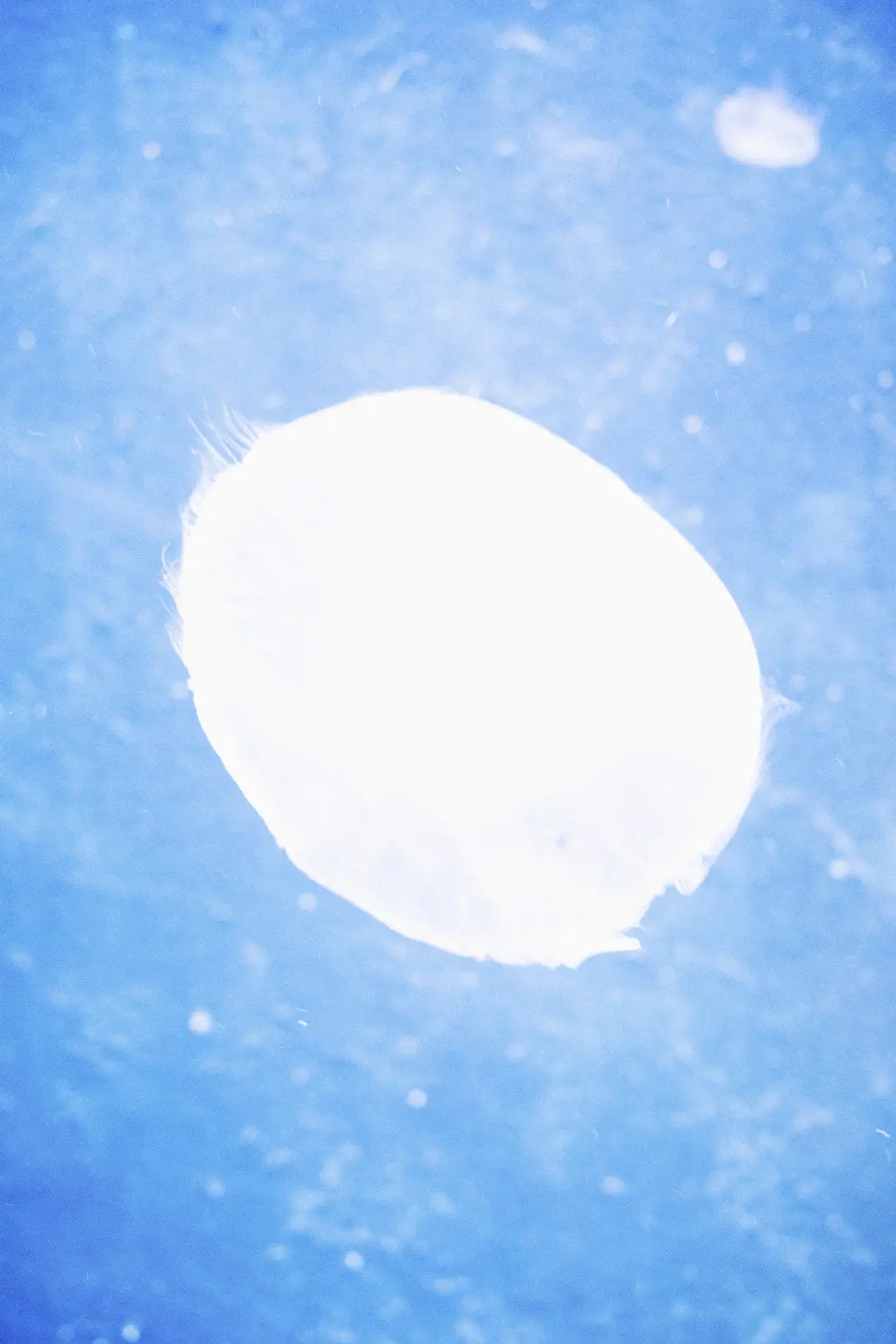 Drifting Home, image 4 of 10