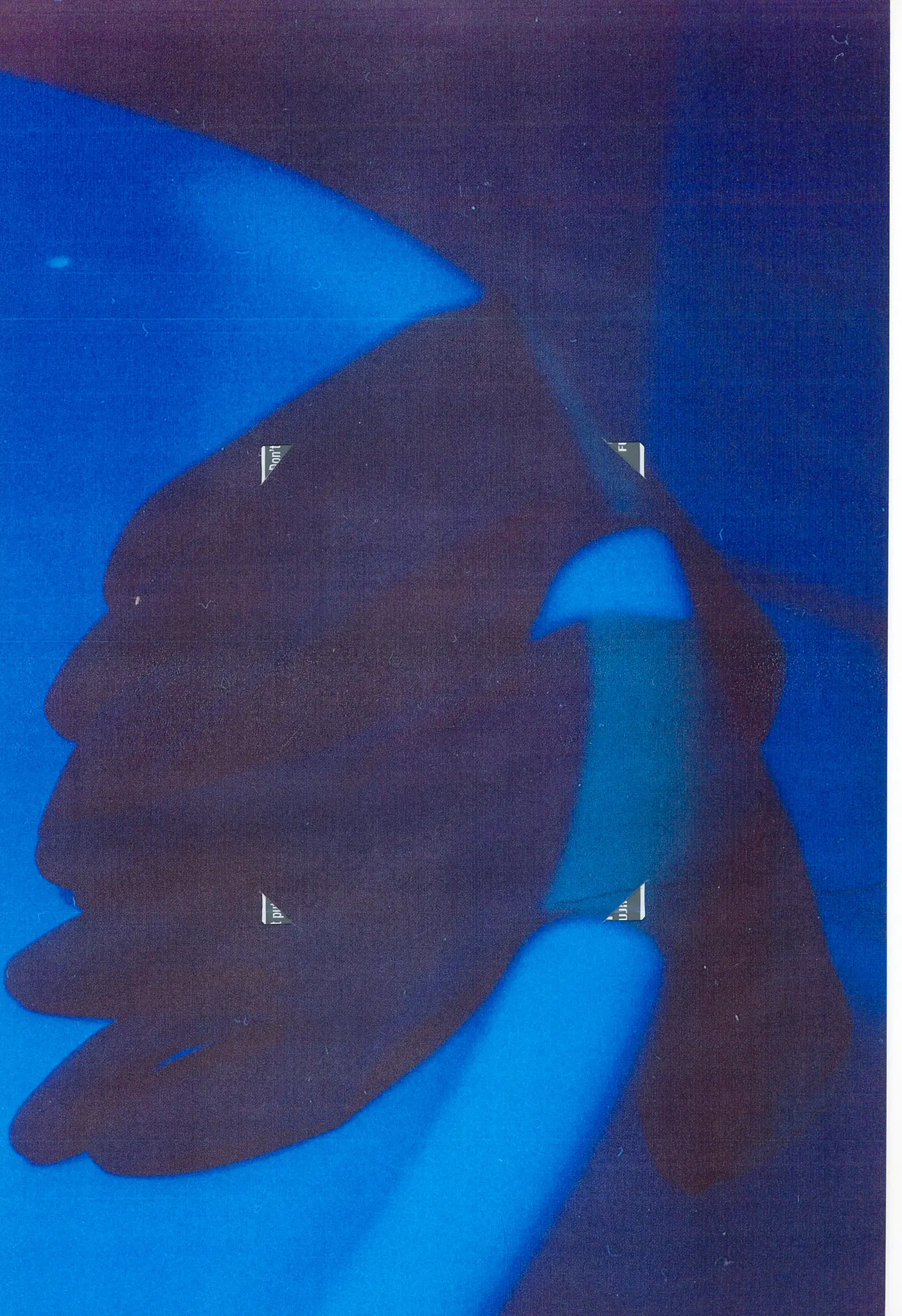 Colors, image 5 of 12