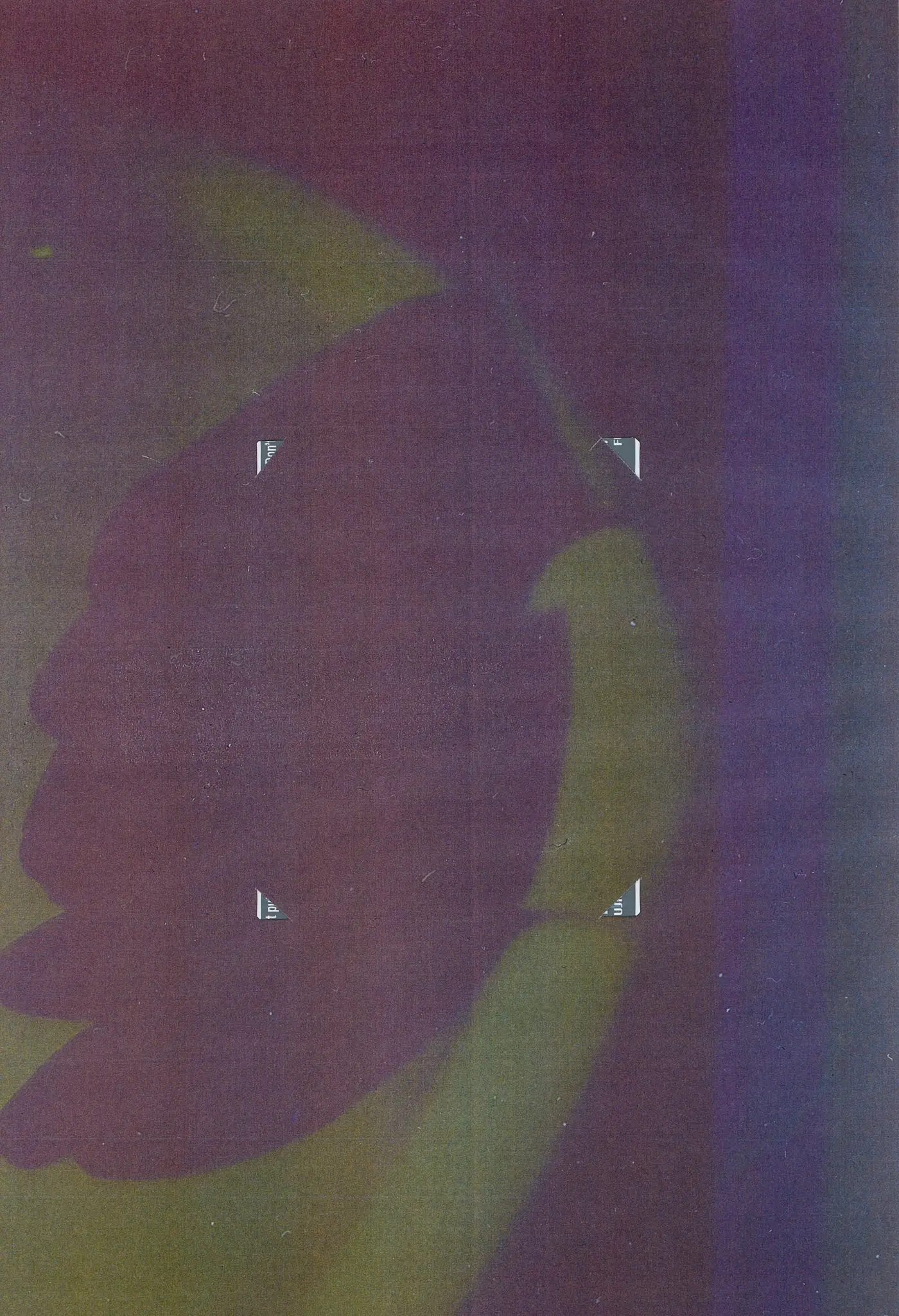 Colors, image 7 of 12