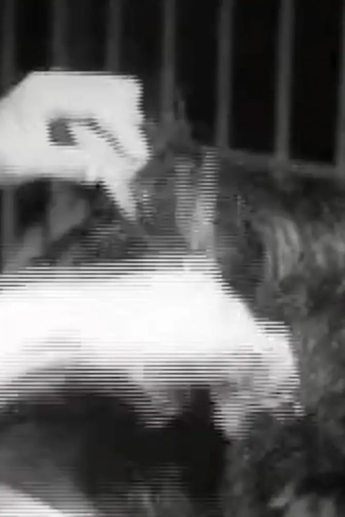 Censored Society, image 7 of 10