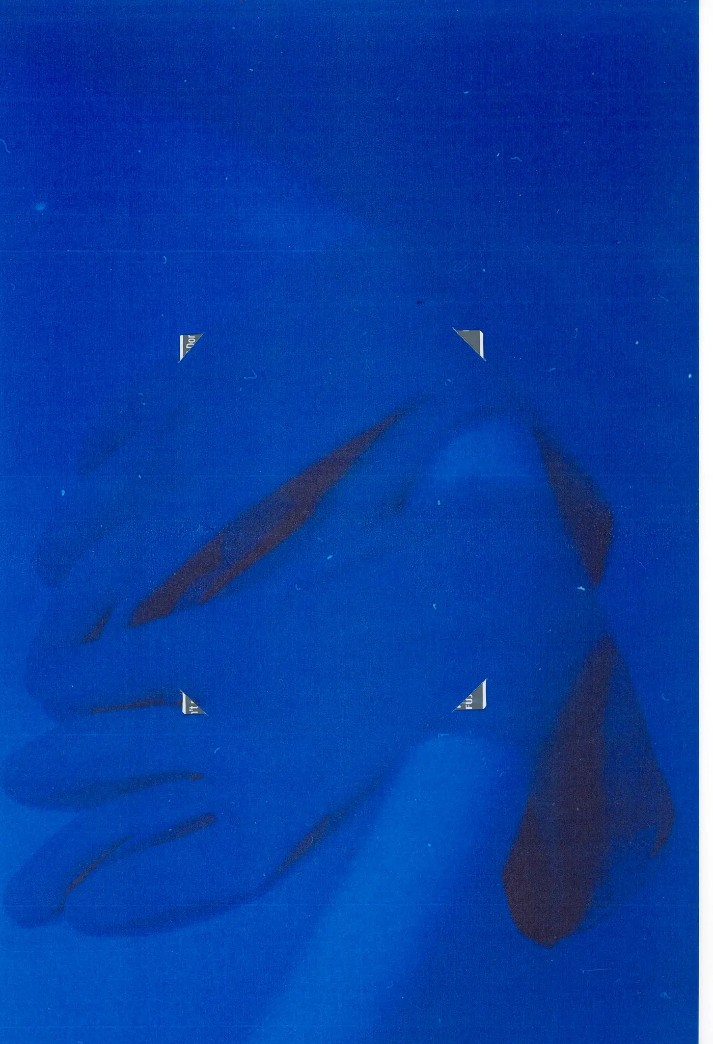 Colors, image 11 of 12